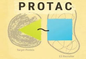 热点前沿:PROTAC初露锋芒，SD-36对抗肿瘤效果卓越