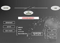 人工合成NT类脂质开放血脑屏障，为CNS药物打开新局面