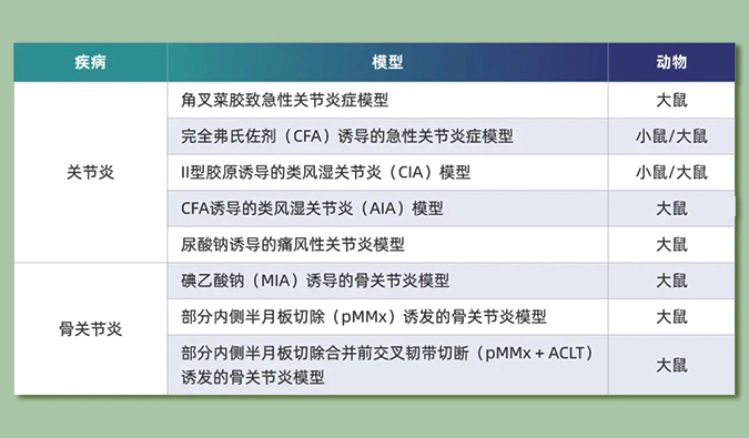 世界关节炎日：突破上亿人的共同难关，持续探索关节炎新药