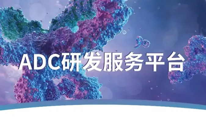 一文读懂：抗体偶联药物（ADC）