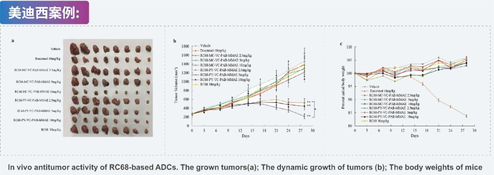 8-ADC药效学评价-w66国际·利来案例.jpg