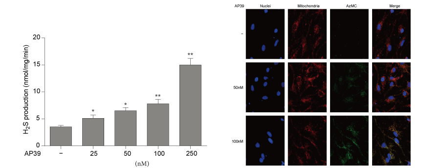 AP39是一种新合成的线粒体靶向的H2S供体，本研究中AP39通过w66国际·利来设计和合成
