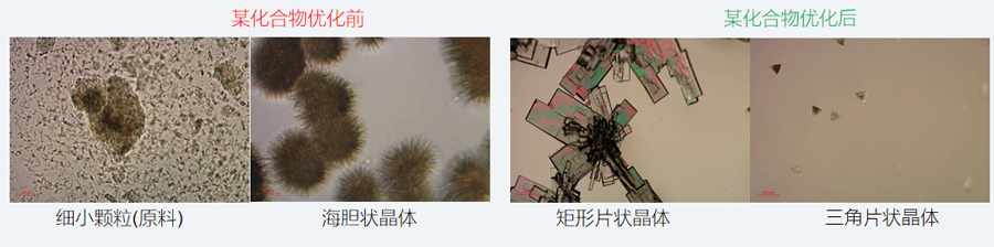 05案例分享-单晶培养，改变晶习.png